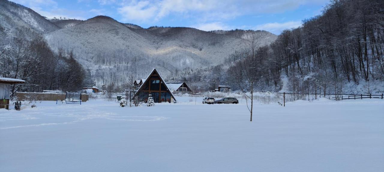 Amonte Transalpina Villa Martinie Екстериор снимка